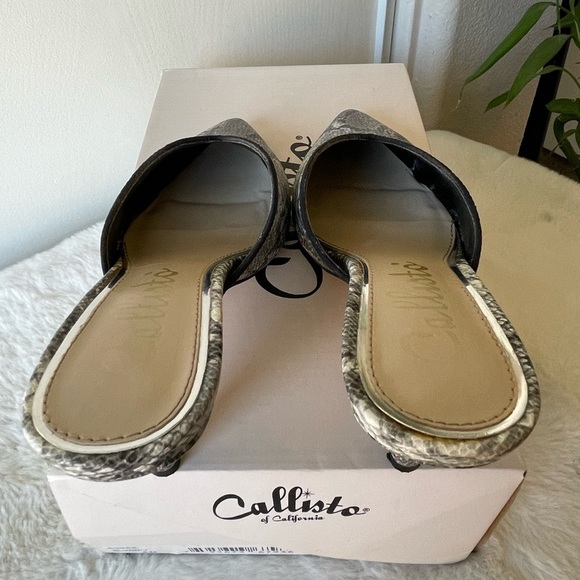 Callisto Essex Kitten Heel Pointed-Toe Mules - Picture 7 of 10